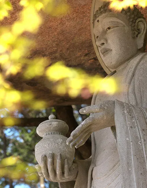 蛙薬師瑠璃光如来