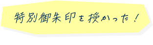 特別御朱印を授かった！