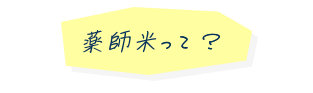 薬師米って？