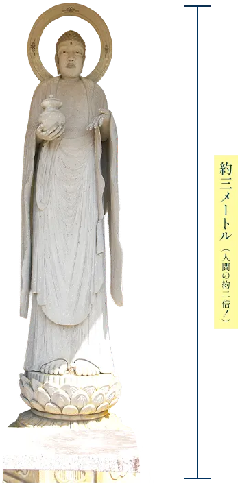 蛙薬師