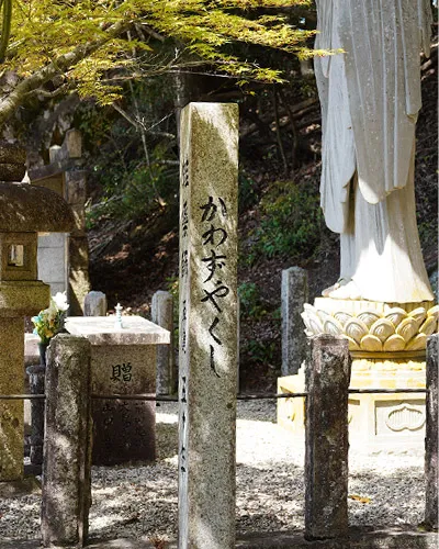 蛙薬師